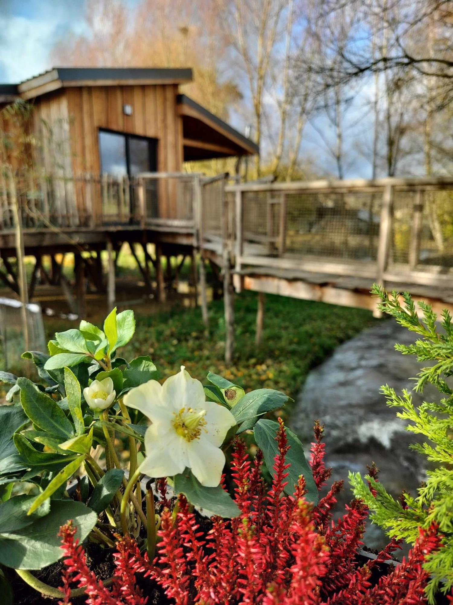 La D'ode Lodge Sainte-Ode
